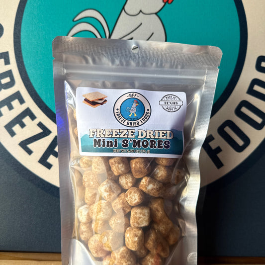 Mini S'mores Bites